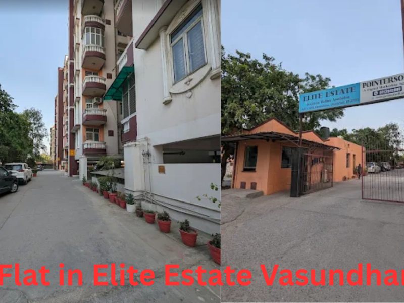 Buy Resale Flat in Elite Estate, Sector 18 Vasundhara, Ghaziabad