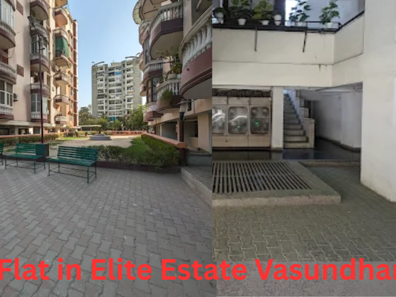 Buy Resale Flat in Elite Estate, Sector 18 Vasundhara, Ghaziabad